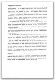 1985 Page 113